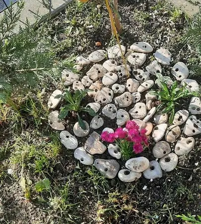 Apartment Bayview Family Garden A1 Burgas