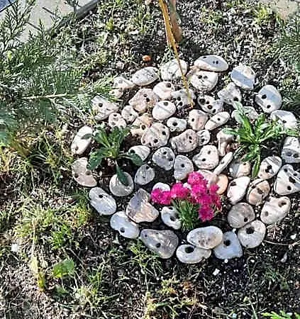 Daire Bayview Family Garden A1 Burgaz