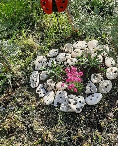 Bayview Family Garden A1 Апартамент *