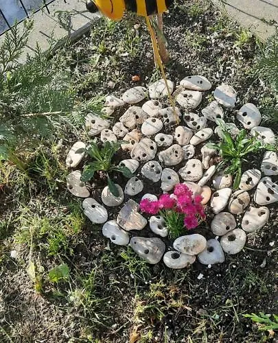 Апартамент Bayview Family Garden A1 Бургас